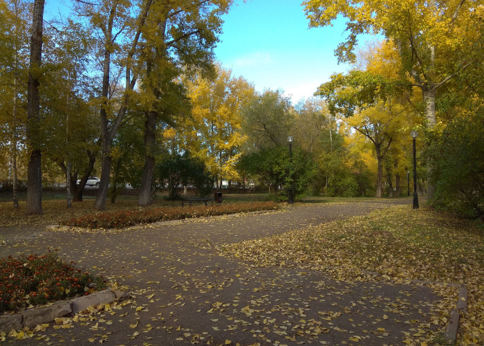 Парк Гуськова. Фотография 1