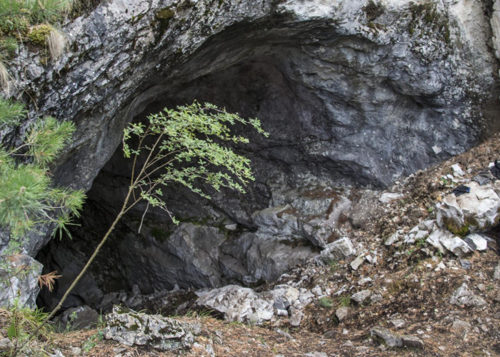 Пещера Ледовая. Photo 1
