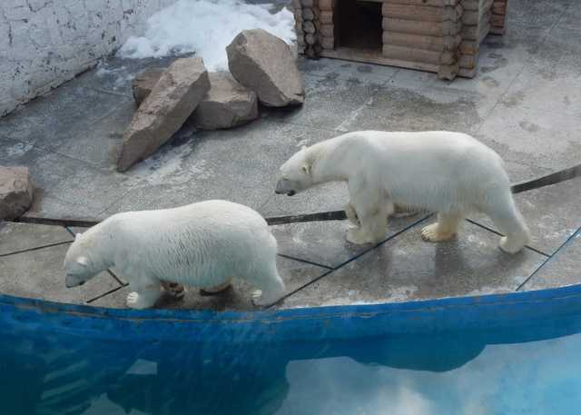 Челябинский зоопарк. Фотография 1