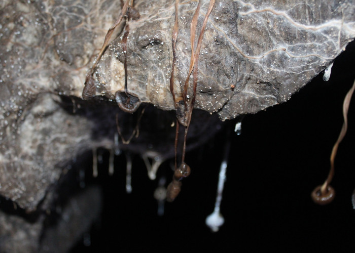 Пещера Колобок. Фото 2