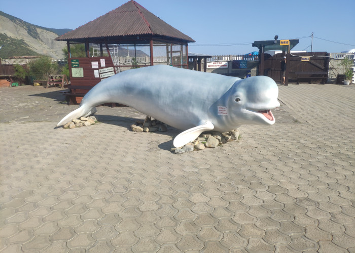 Анапский дельфинарий. Photo 2