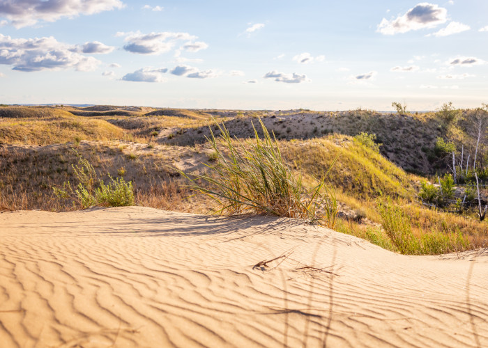 Голубинские Пески. Фото 1