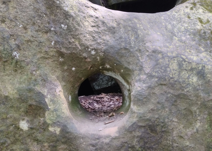 Корытообразный дольмен (Свирское ущелье). Photo 2