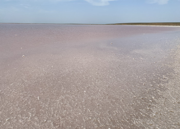 Можарское розовое озеро. Фото 5