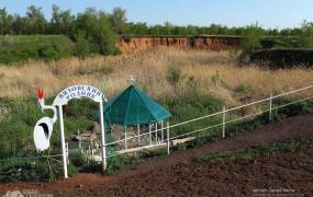 Вязовский родник