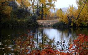 Lake Malakhovo (Malashka)