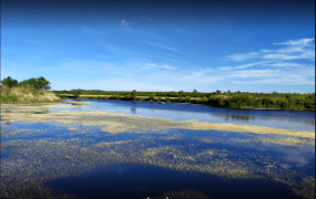 Марьевское водохранилище