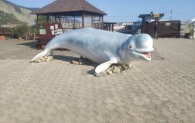 Anapa Dolphinarium