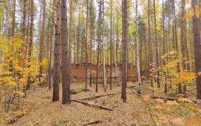 Ruins of a dynamite factory