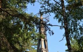 Tower in Shartashsky forest park