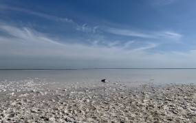 Lake Elton