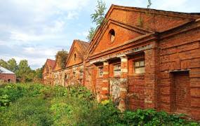 Stables of the Volyshevo estate (Pskov stud farm)