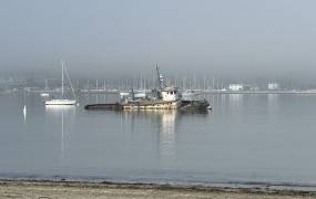 Wreck of the tug "Caleb" (Pillar Point)