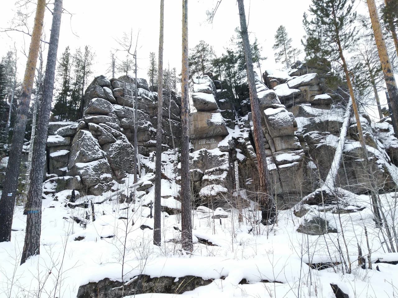 Скальник Черепаха — фотография 1
