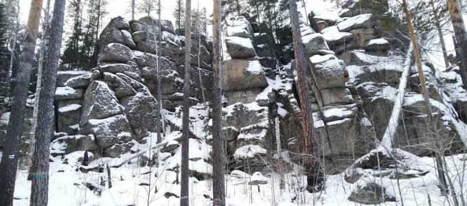 Скальник Черепаха