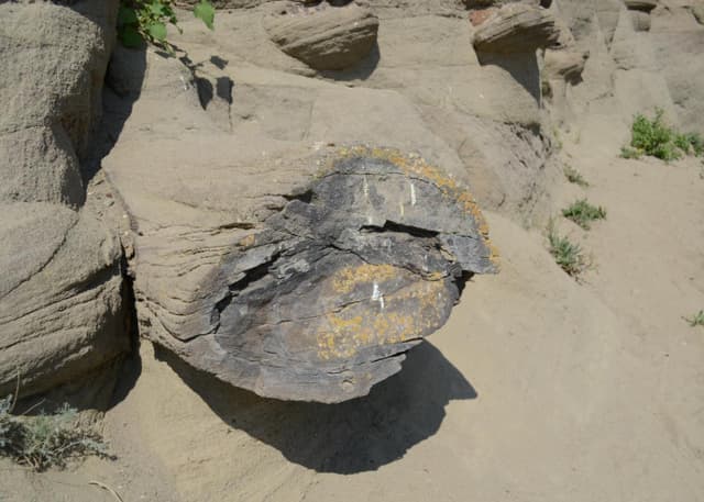 Букобайские яры. Фотография 1