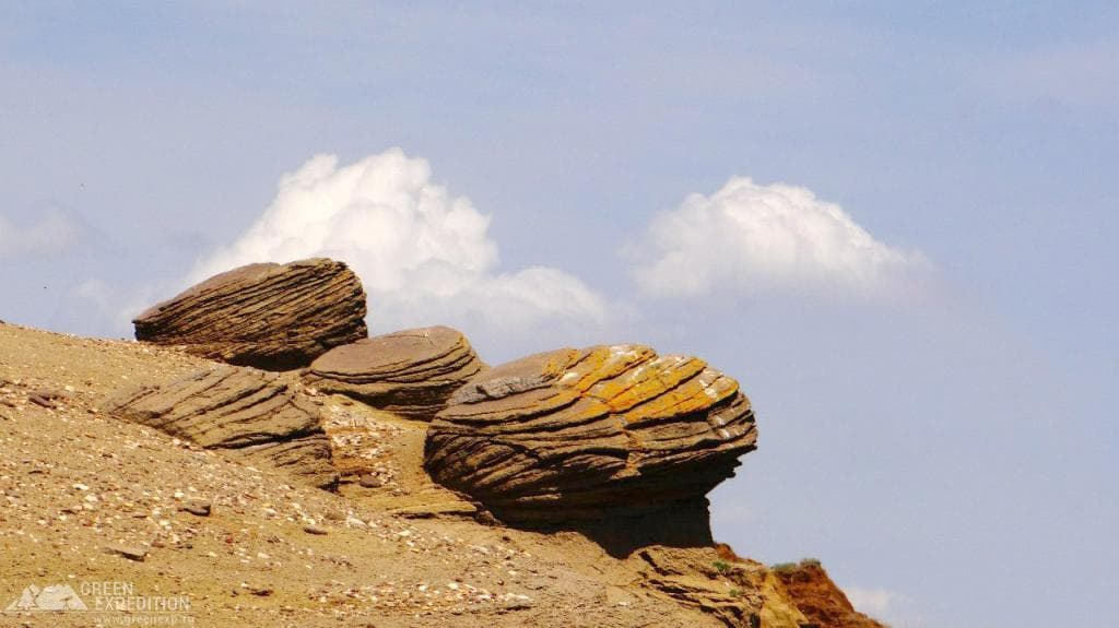 Букобайские яры — фотография 7