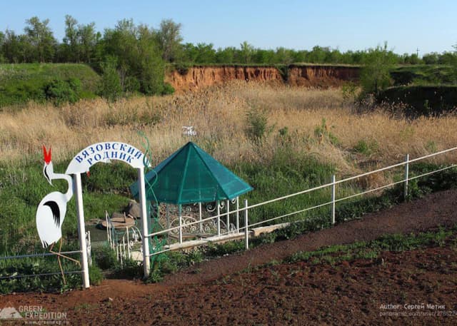 Вязовский родник. Фотография 1