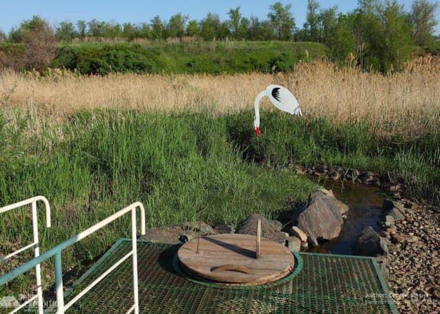 Вязовский родник. Фотография 2