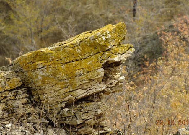Гора Гребенская (Гребени). Фотография 1