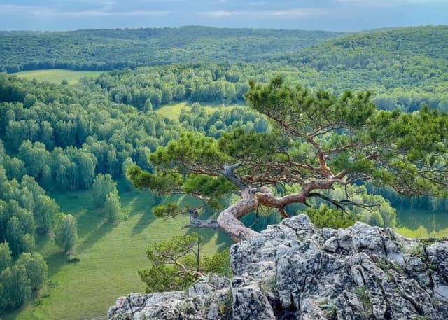 Гумеровское ущелье. Фотография 2