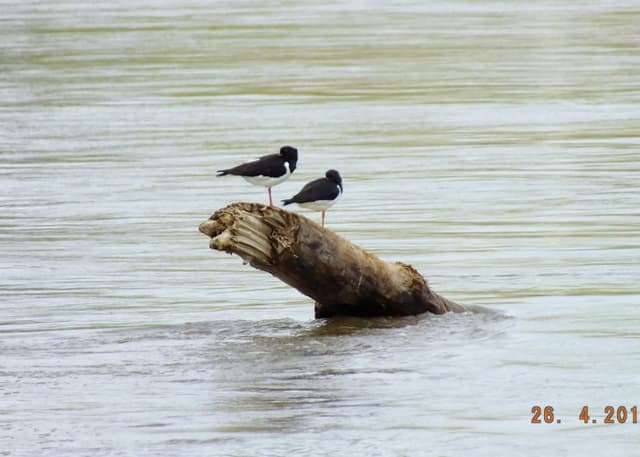 Кемпинг на берегу реки. Фотография 2