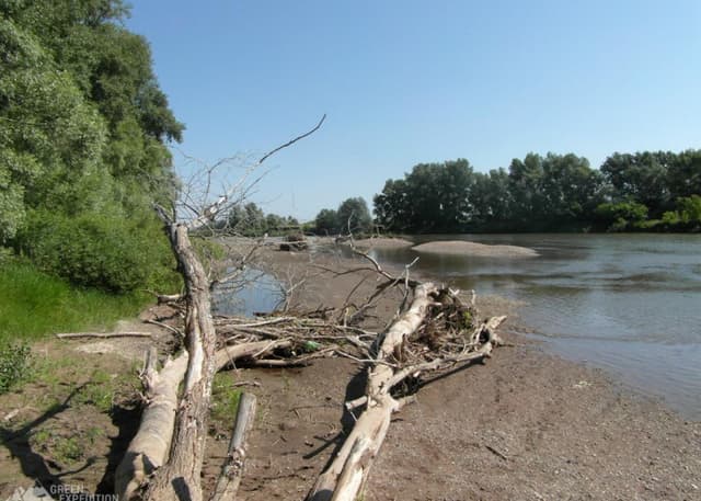 Кемпинг на берегу реки. Фотография 5