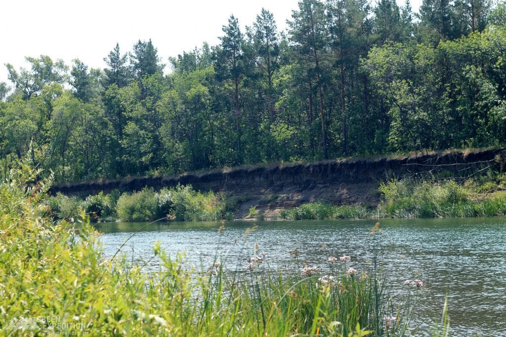 Camping on the banks of the Urals — photo 1