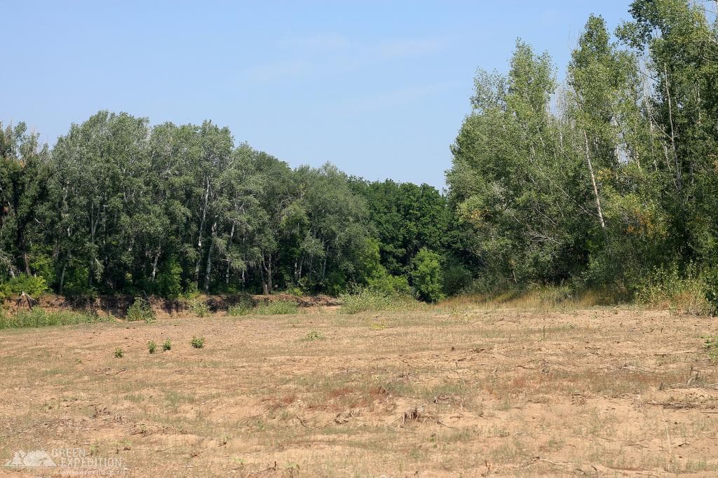 Camping on the banks of the Urals — photo 2