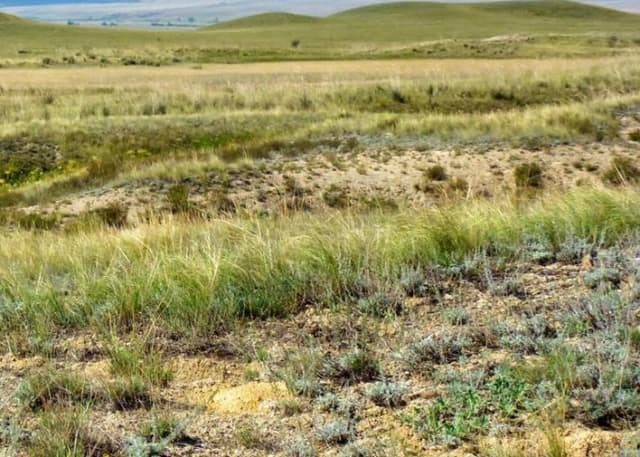 Кзыладырское карстовое поле. Фотография 3