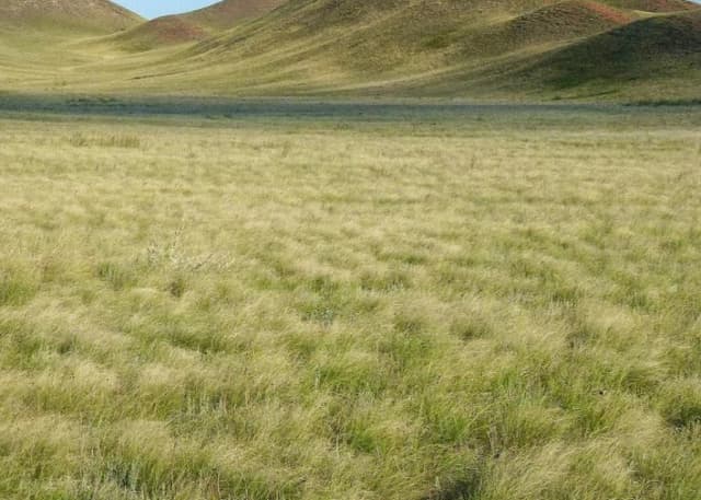 Кзыладырское карстовое поле. Фотография 4