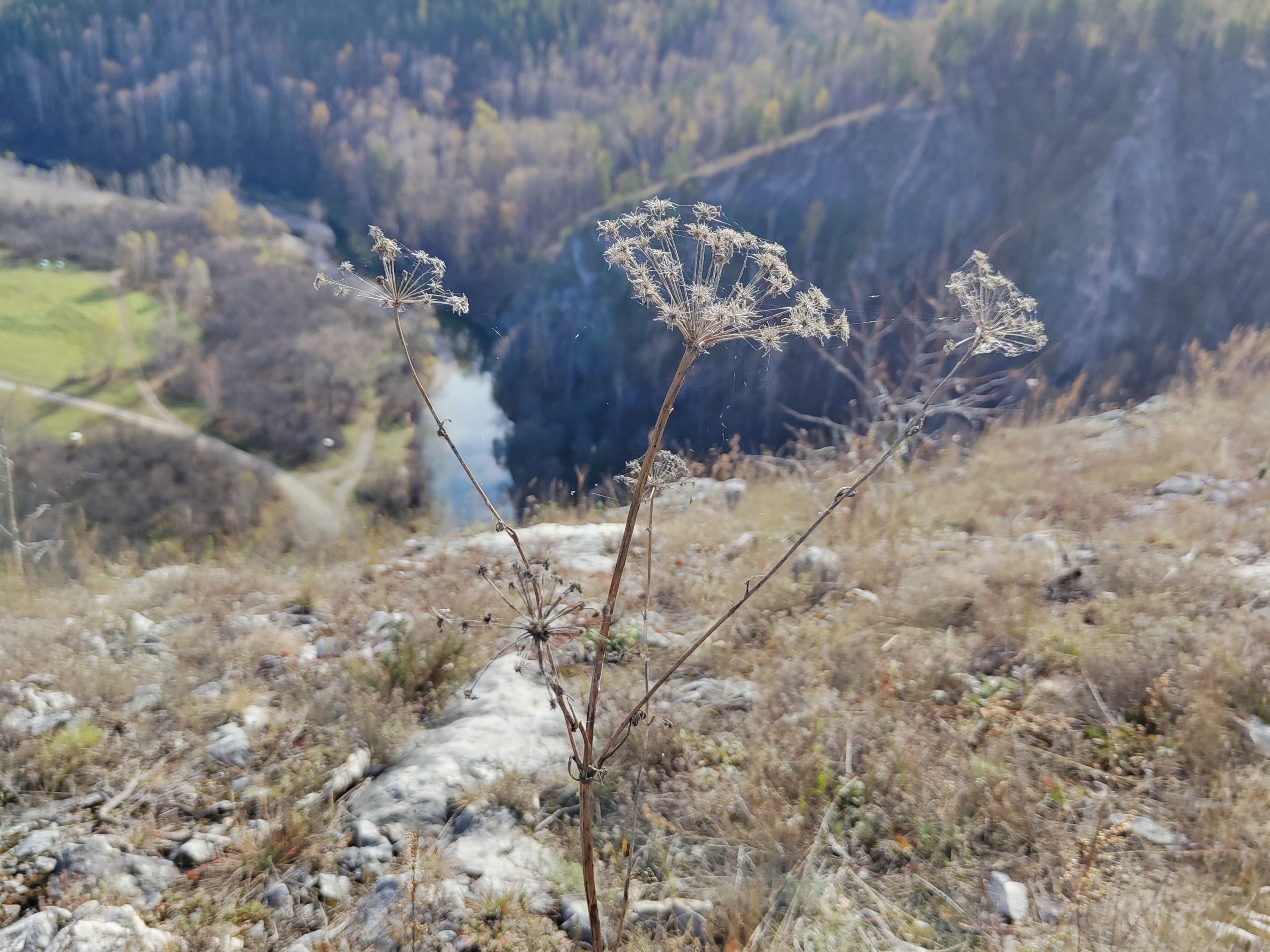 Muradymovskoe gorge — photo 1