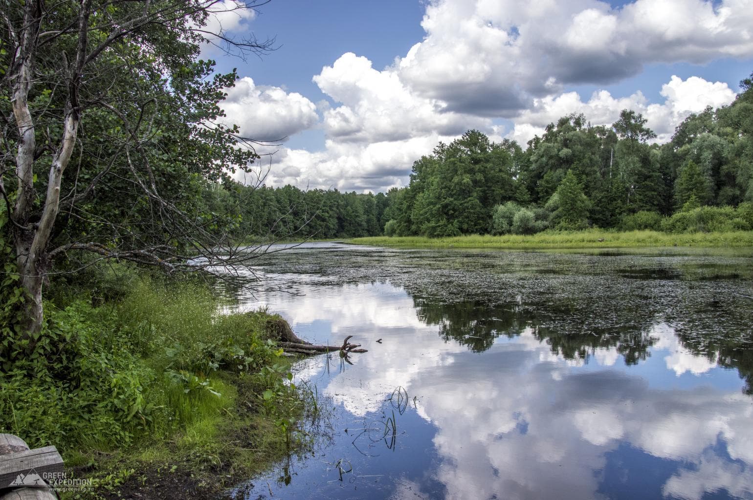 Lake Studenoye (Buzuluksky pine forest) — photo 1
