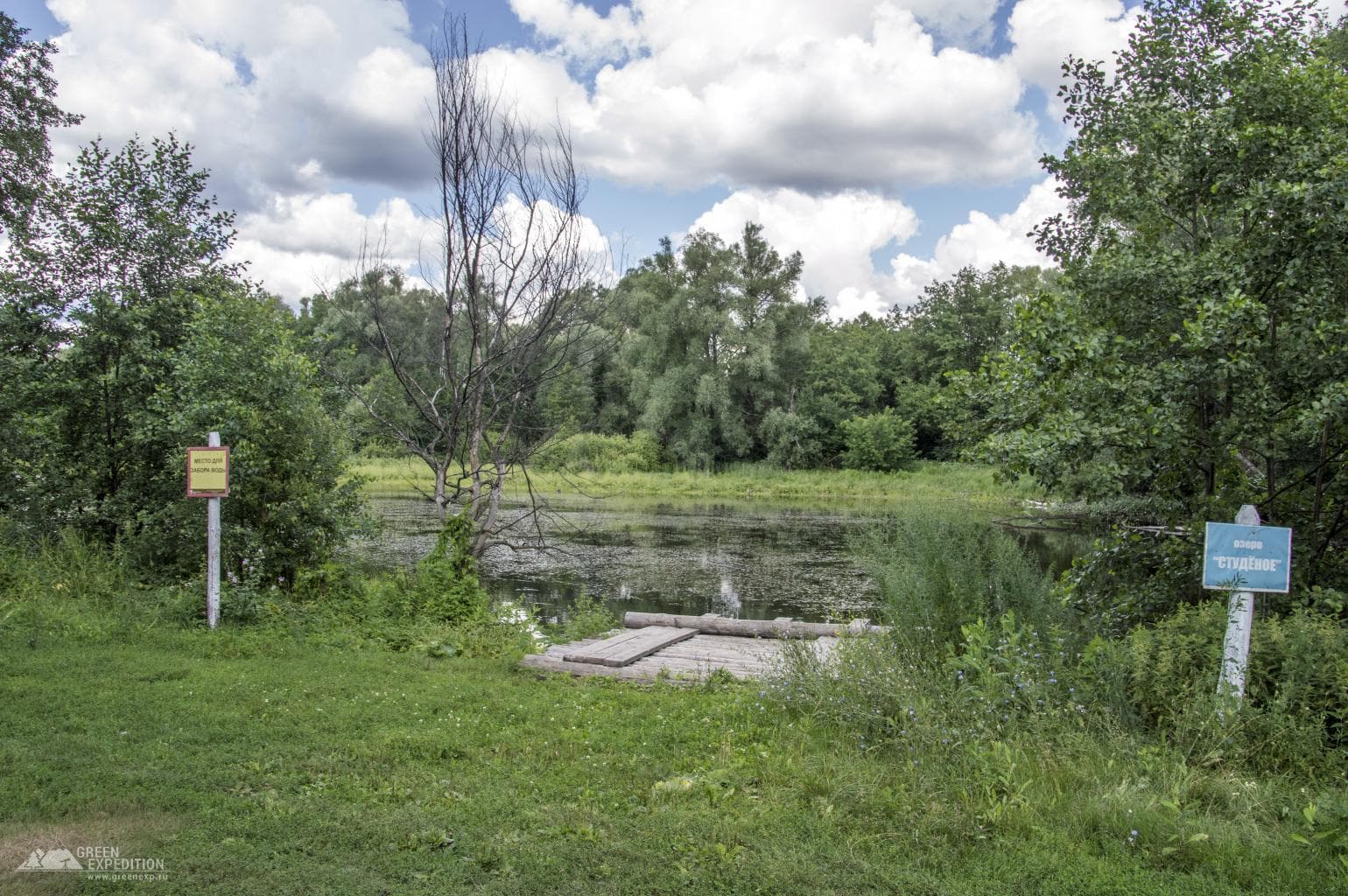 Lake Studenoye (Buzuluksky pine forest) — photo 3