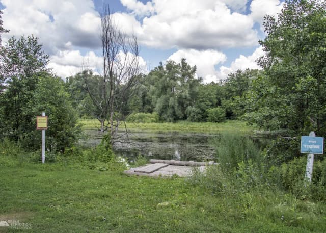 Озеро Студеное (Бузулукский бор). Фотография 3
