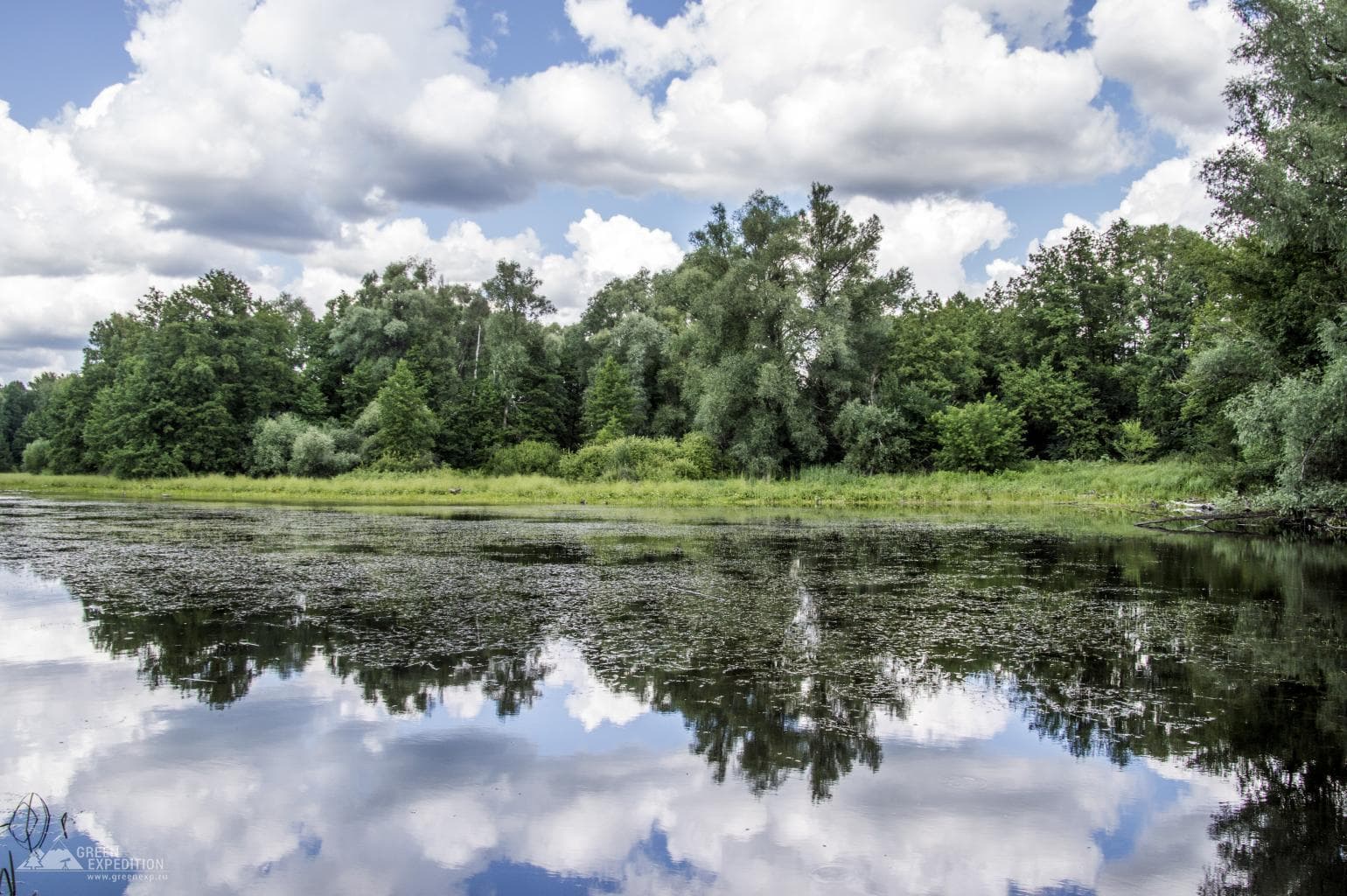 Lake Studenoye (Buzuluksky pine forest) — photo 2