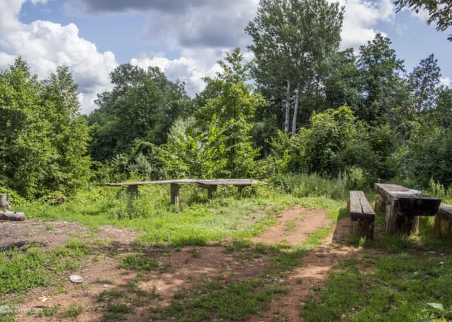 Озеро Холерное (Бузулукский бор). Фотография 3