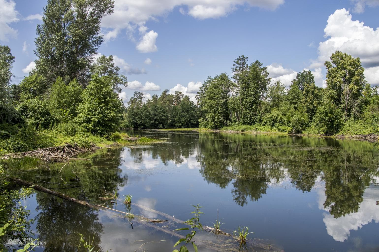 Lake Cholernoye (Buzuluksky pine forest) — photo 1