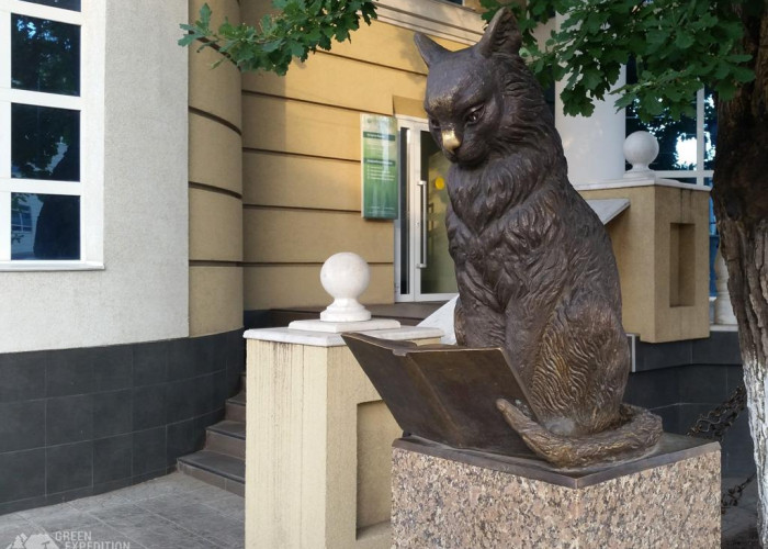 Памятник ученому коту. Фотография 1