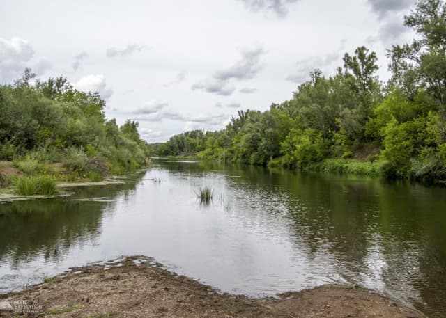 Пляж (Бузулук). Фотография 1