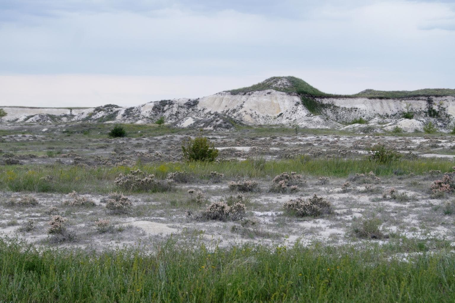 Pokrovskiye Chalk Mountains (Orenburg) — photo 4