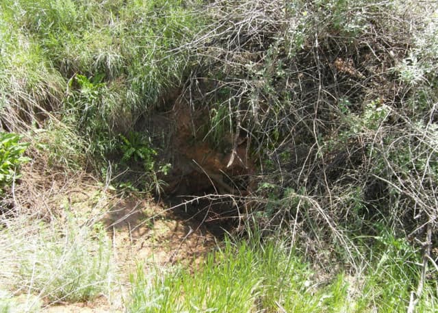 Сайгачий рудник. Фотография 8