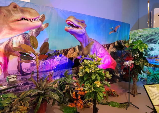 Самарский краеведческий музей Алабина. Фотография 3