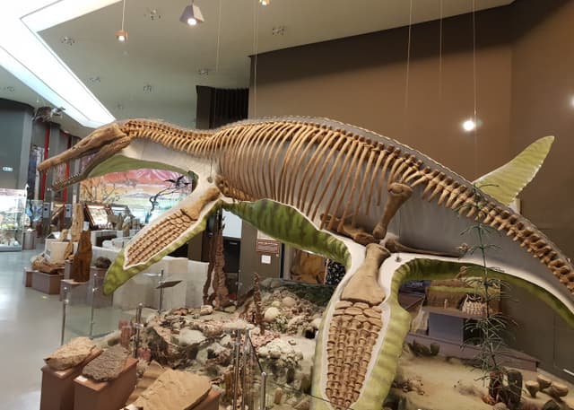 Самарский краеведческий музей Алабина. Фотография 2