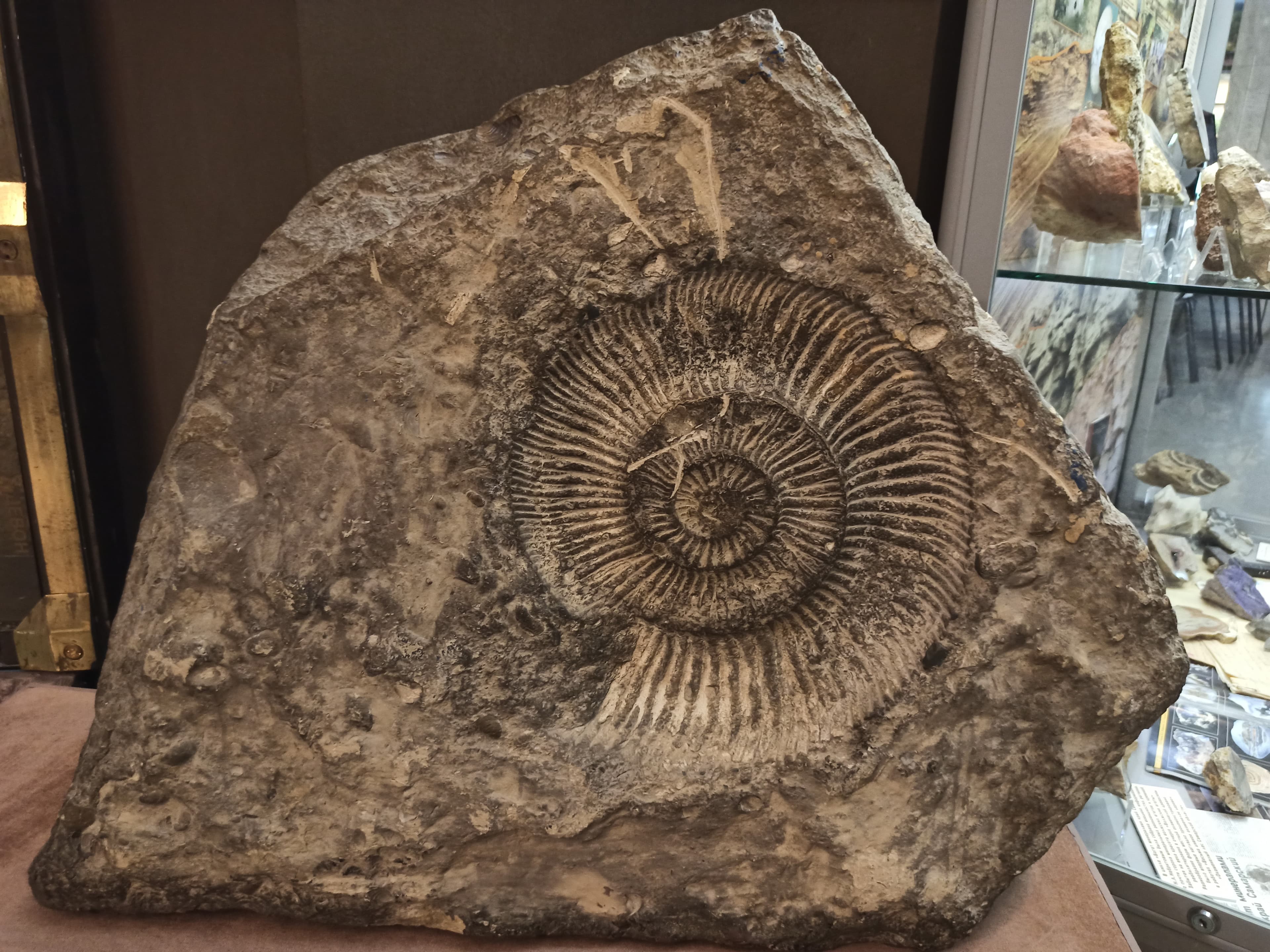 Samara Local Lore Museum Alabin — photo 1