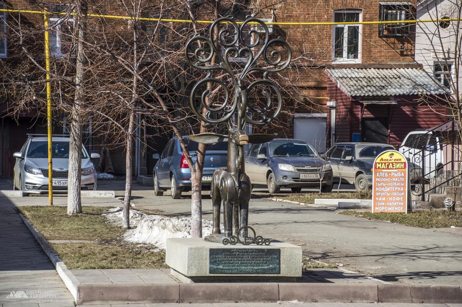 Sarmatian deer — photo 1