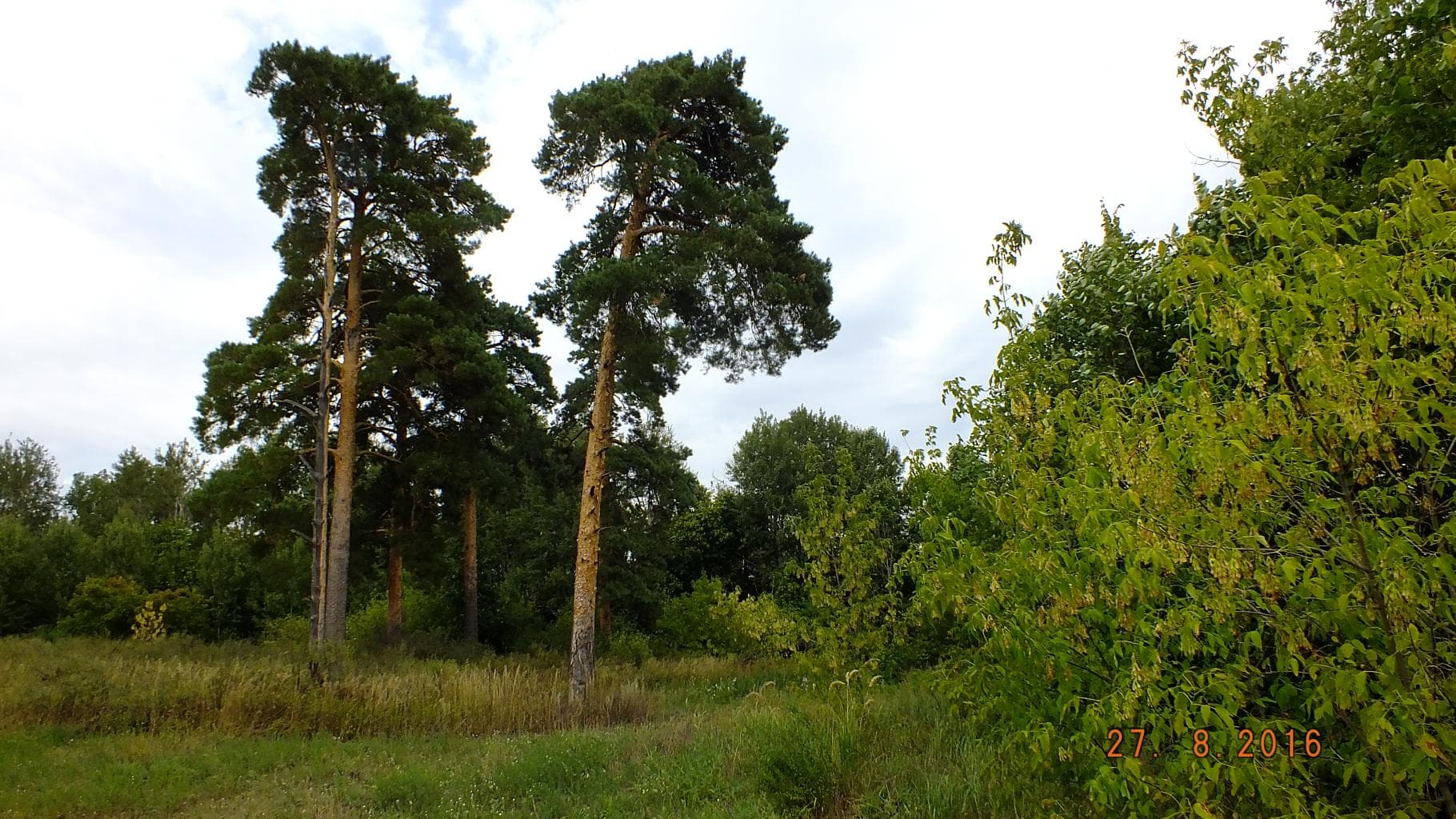 Храм Христа Спасителя — фотография 2