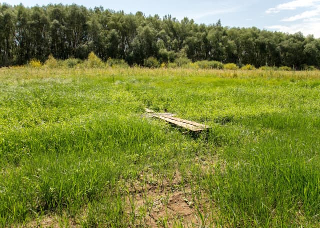 Димитровское водохранилище. Фотография 22