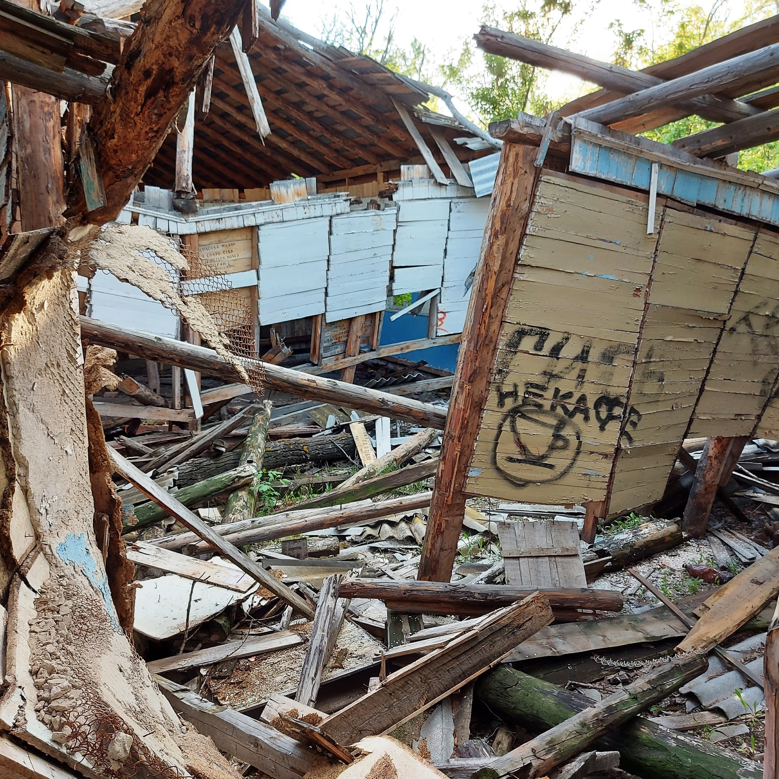Abandoned Children's Camp (Orenburg) — photo 3