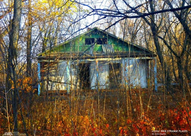 Заброшенный детский лагерь. Фотография 10